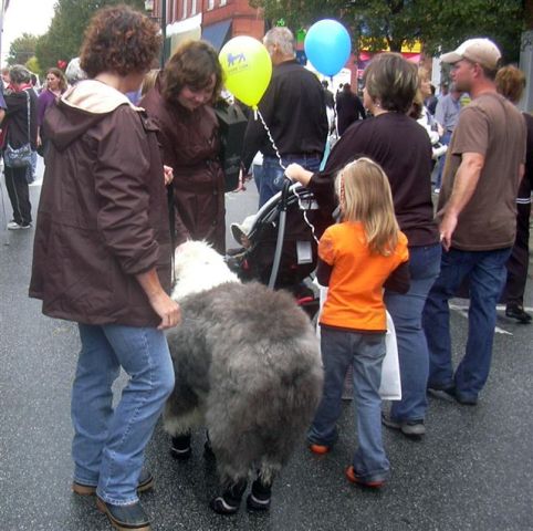 /images/events/18/Lexington BBQ Festival 2008 004.jpg